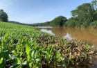 Estado divulga último levantamento do impacto das chuvas na produção rural