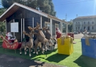 Programação artístico-cultural do Natal Erechim 2023 inicia neste sábado