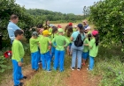 Turma de alunos de Machadinho visita propriedade que produz parte da merenda escolar