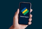 Celular Seguro: como usar aplicativo do governo que bloqueia aparelhos roubados
