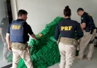 PRF apreende mais de meia tonelada de maconha em Passo Fundo