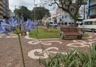 Renovação floral transforma canteiros em Erechim
