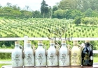 Marca de azeite de oliva gaúcha é eleita a nona agroindústria mais premiada do mundo