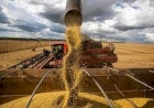 Conab prevê produção de grãos em 306,4 milhões de toneladas na safra 2023/24
