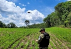 Operação do Batalhão Ambiental utiliza drones para fiscalização de desmatamento