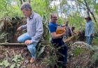 Ruínas da primeira Cooperativa Força e Luz privada do Brasil, em Quatro Irmãos