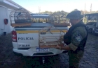 Brigada Militar resgata pássaros silvestres mantidos em cativeiro