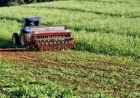 Governo de Ipiranga do Sul fortalece agricultura local em meio a desafios econômicos