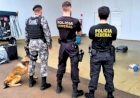 Polícia Federal realiza ação integrada no Aeroporto Lauro Kortz em Passo Fundo