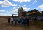 Ipiranga do Sul inicia colheita da soja com expectativa positiva