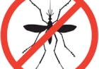 11ª Coordenadoria de Saúde confirma 130 casos de dengue