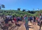 Dia de Campo orienta sobre manejo de ervais na região do Alto Uruguai
