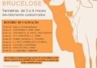 Secretaria de Agricultura, Abastecimento e Meio Ambiente Anuncia Roteiro de Vacinação contra Brucelose em Machadinho