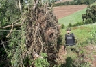 Batalhão Ambiental flagra destruição de vegetação em Floriano Peixoto