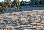 Cidade gaúcha registra 7,3 graus abaixo de zero, menor temperatura dos últimos anos no Estado