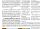 Getúlio Vargas poderá ter cinco candidatos a prefeito /  Coluna Contexto, por Neivo A T Fabris