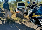 Polícia prende traficante armado transportando 150 kg de maconha em Passo Fundo