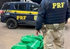 PRF prende traficantes com mais de 180 quilos de maconha em Passo Fundo Por Redação ON
