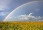 Temperatura começa a se elevar a partir de quarta-feira Por Redação ON 27 de Ago · 1 min de leitura