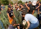 Professores participam Jornada do Curso Técnico em Agricultura de Viadutos