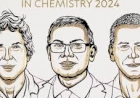 Nobel de Química vai para trio que usa inteligência artificial para decifrar segredos das proteínas