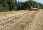 Plantio da soja começa no Rio Grande do Sul 