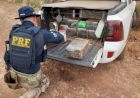 PRF intercepta 350 quilos de maconha em Almirante Tamandaré do Sul