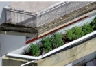 POLÍCIA CIVIL APREENDE PÉS DE MACONHA QUE ERAM CULTIVADOS EM APARTAMENTO NO CENTRO DE ERECHIM-RS