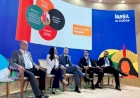 Cresol participa de painel sobre finanças sustentáveis na COP 29