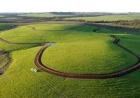 Técnicas de manejo são destaque no Dia Mundial do Solo