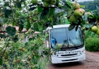 Passeios incentivam o turismo em Erechim
