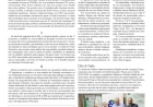 Trabalho e conquistas – Coluna Contexto / por Neivo A T Fabris.