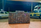 PRF apreende mais de uma tonelada maconha em caminhão na BR-386