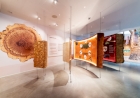 Museu em Portugal explora a história e as utilidades da cortiça