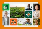Relatório de Sustentabilidade da Cresol destaca atuação em 15 ODS da ONU