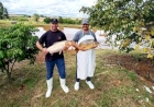 Emater/RS-Ascar estima venda de mais de 2,5 mil toneladas de pescado na Semana Santa no RS