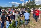 Itatiba do Sul celebra abertura da colheita da laranja com Dia de Fomento à Citricultura
