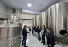 Estudantes da URI exploram processos da vitivinicultura em visita à Vinícola Soliman