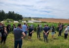 UFFS fortalece protagonismo internacional e regional na agricultura orgânica e agroecologia