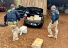 Traficante é preso transportando quase meia tonelada de maconha