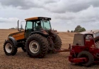 Ipiranga do Sul fortalece incentivos e programas de apoio à agricultura junho 17, 202