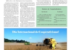 Especial - A ONU declarou 2025 como o Ano Internacional das Cooperativas