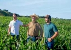 Sicredi projeta novo ciclo de crescimento no agronegócio com Plano Safra 2025/202