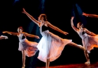 Vem aí o Festival de Dança de Erechim 2025 com muitas novidades, acesso gratuito e foco na acessibilidade