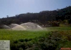 Barra do Rio Azul amplia áreas irrigadas com apoio do Programa Irriga+ RS