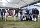 Associados da Santa Clara levam mais de 90 animais para a Expointer 2025 