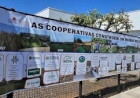 Cooperativas do Alto Uruguai celebram o Dia C de Cooperar com ações comunitárias