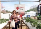 Expointer 2025: Frutas, cultivares e sanidade dos pomares em destaque no Espaço da Emater/RS-Ascar