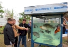 Expointer 2025: Emater/RS-Ascar ensina como ter sucesso na criação de peixes