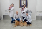 Ensino Medicina Veterinária da URI inicia projeto com cães terapeutas no Santa Terezinha